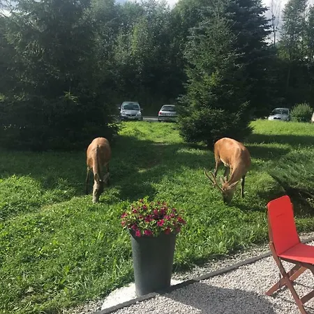 Chalet Admi Zakopane